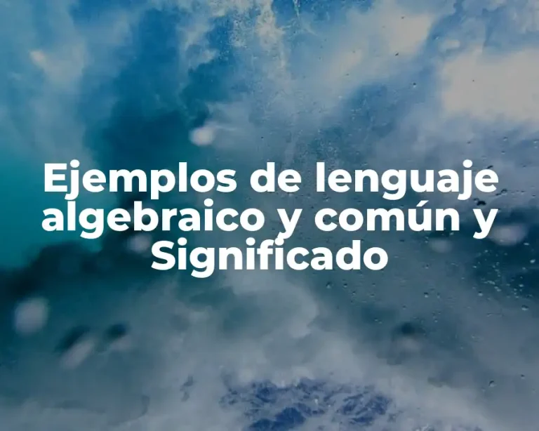 Ejemplos de lenguaje algebraico y común y Significado