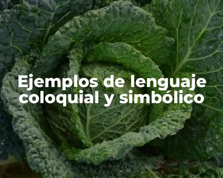 Ejemplos de lenguaje coloquial y simbólico