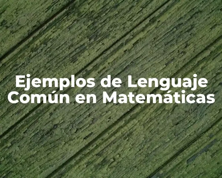 Ejemplos de Lenguaje Común en Matemáticas