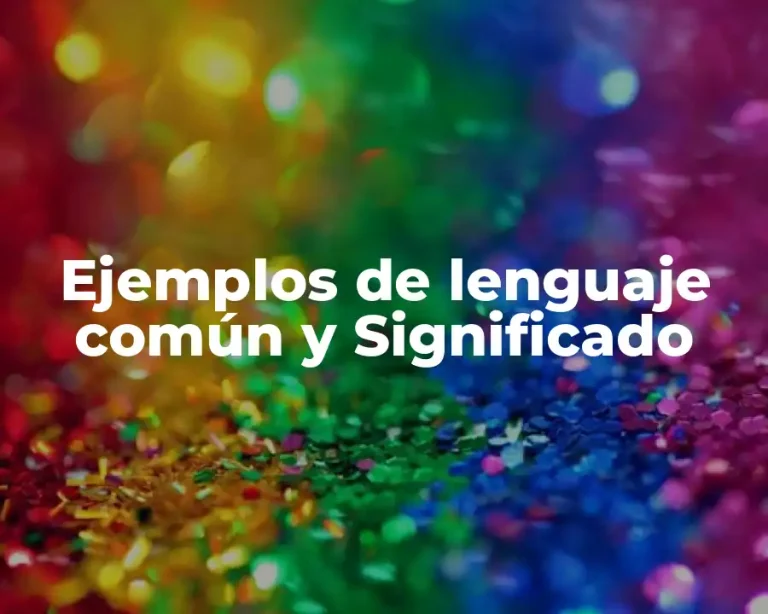 Ejemplos de lenguaje común y Significado