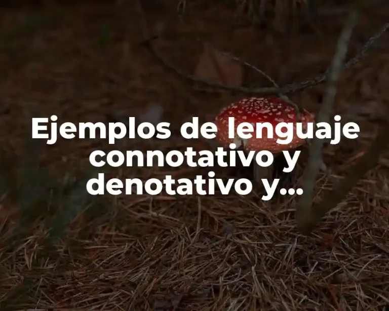 Ejemplos de lenguaje connotativo y denotativo y Significado