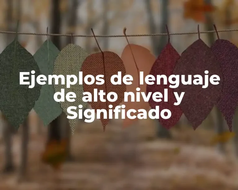 Ejemplos de lenguaje de alto nivel y Significado