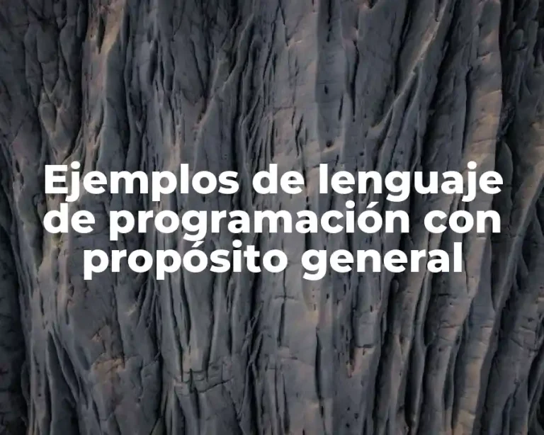 Ejemplos de lenguaje de programación con propósito general