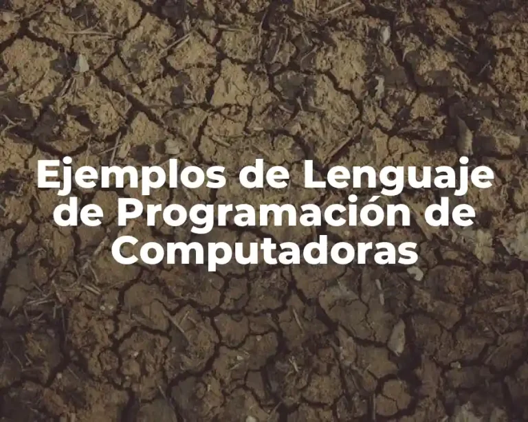 Ejemplos de Lenguaje de Programación de Computadoras