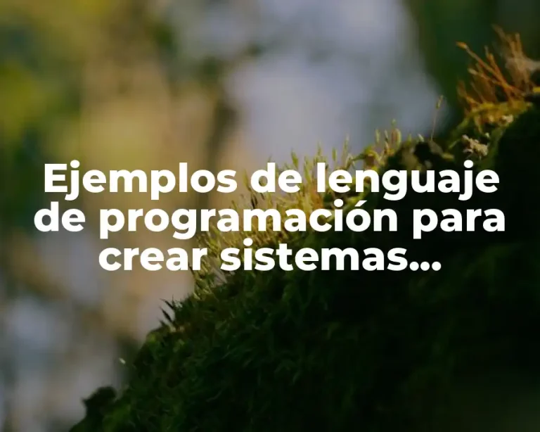 Ejemplos de lenguaje de programación para crear sistemas operativos
