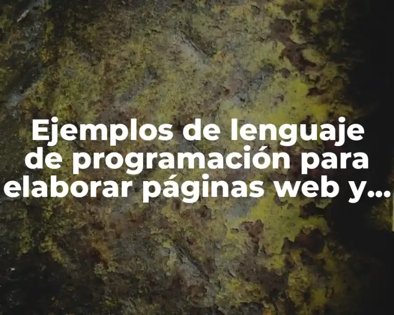 Ejemplos de lenguaje de programación para elaborar páginas web y Significado