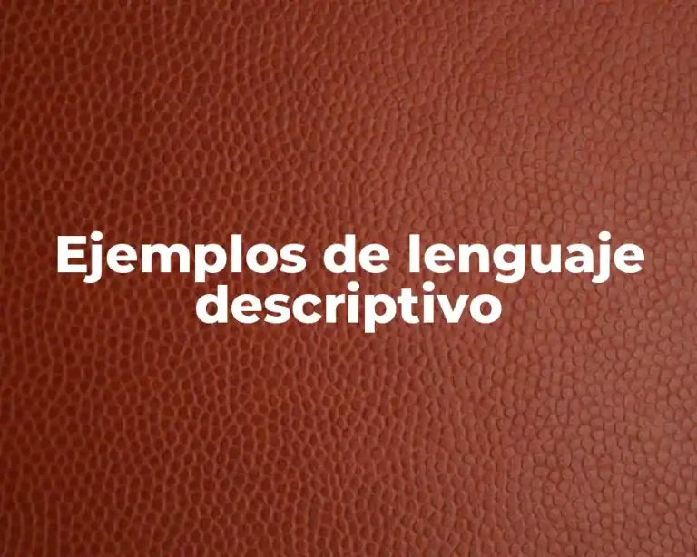 Ejemplos de lenguaje descriptivo