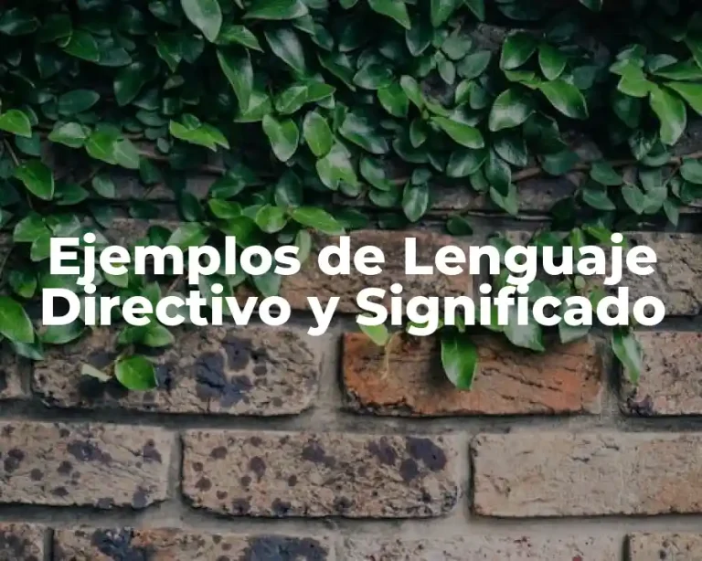 Ejemplos de Lenguaje Directivo y Significado