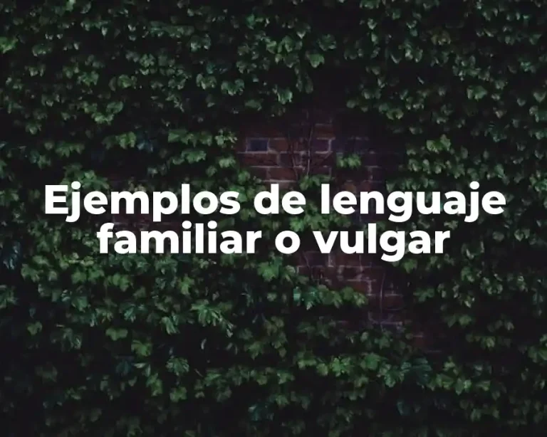 Ejemplos de lenguaje familiar o vulgar