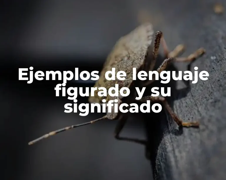 Ejemplos de lenguaje figurado y su significado