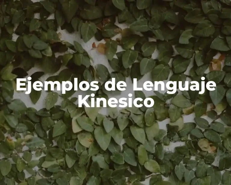 Ejemplos de Lenguaje Kinesico