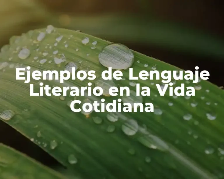 Ejemplos de Lenguaje Literario en la Vida Cotidiana