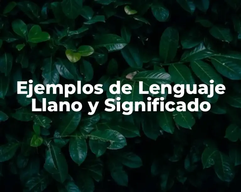 Ejemplos de Lenguaje Llano y Significado