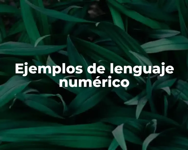 Ejemplos de lenguaje numérico