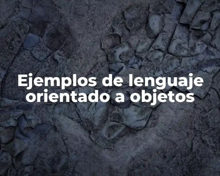 Ejemplos de lenguaje orientado a objetos