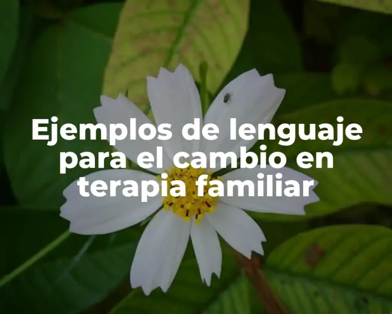 Ejemplos de lenguaje para el cambio en terapia familiar