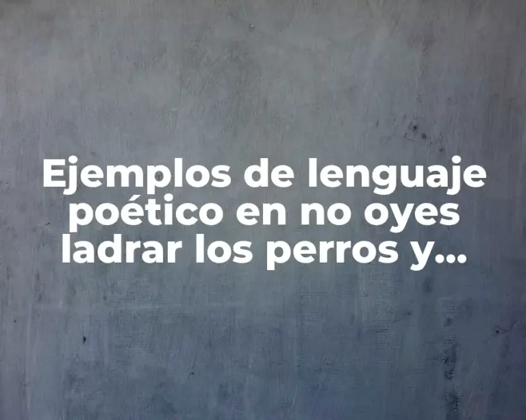 Ejemplos de lenguaje poético en no oyes ladrar los perros y Significado
