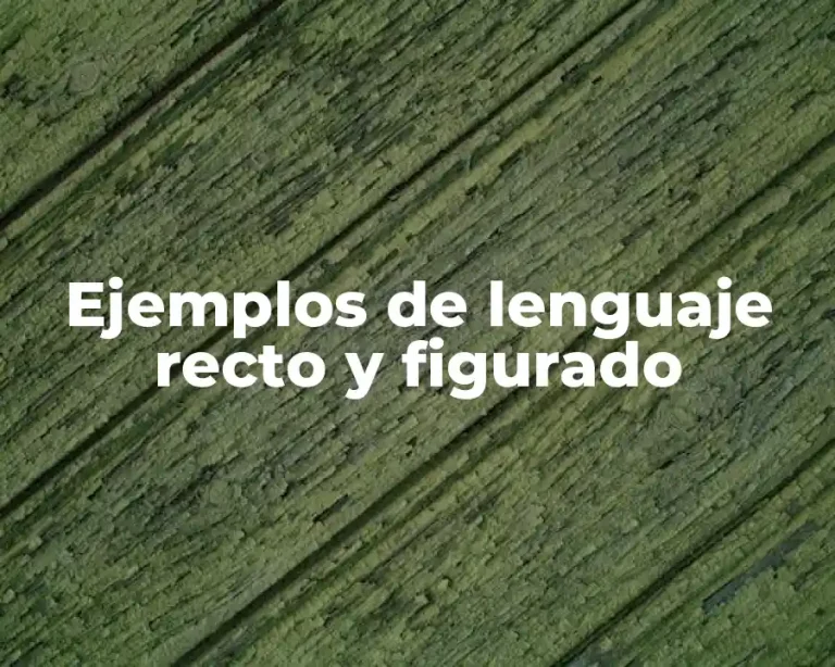 Ejemplos de lenguaje recto y figurado
