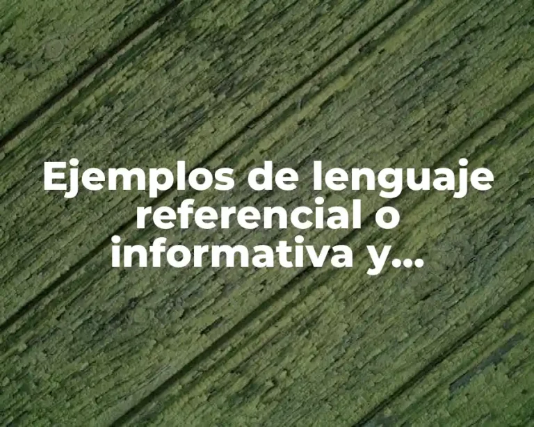 Ejemplos de lenguaje referencial o informativa y Significado