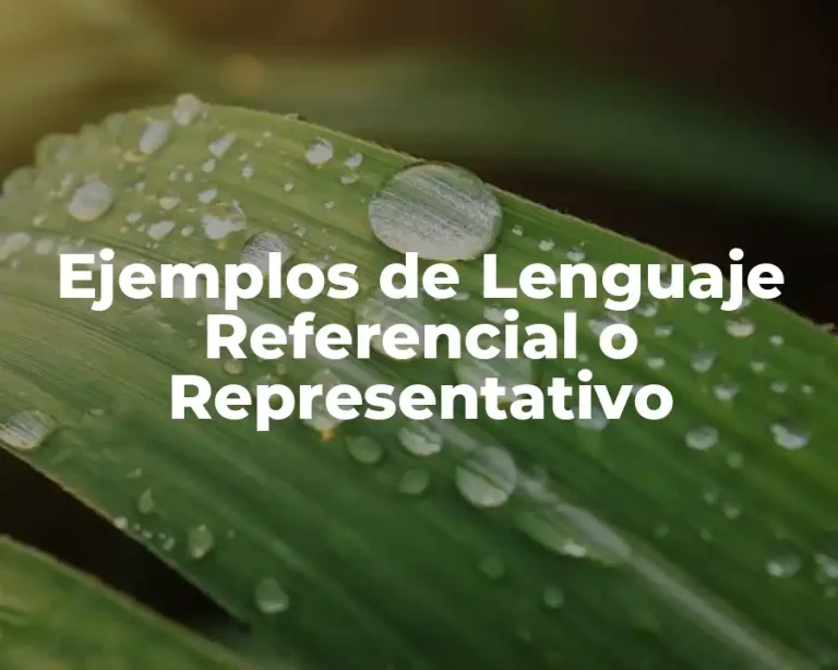Ejemplos de Lenguaje Referencial o Representativo