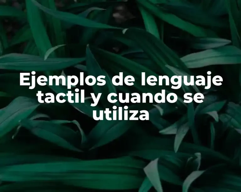 Ejemplos de lenguaje tactil y cuando se utiliza