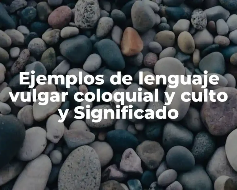 Ejemplos de lenguaje vulgar coloquial y culto y Significado