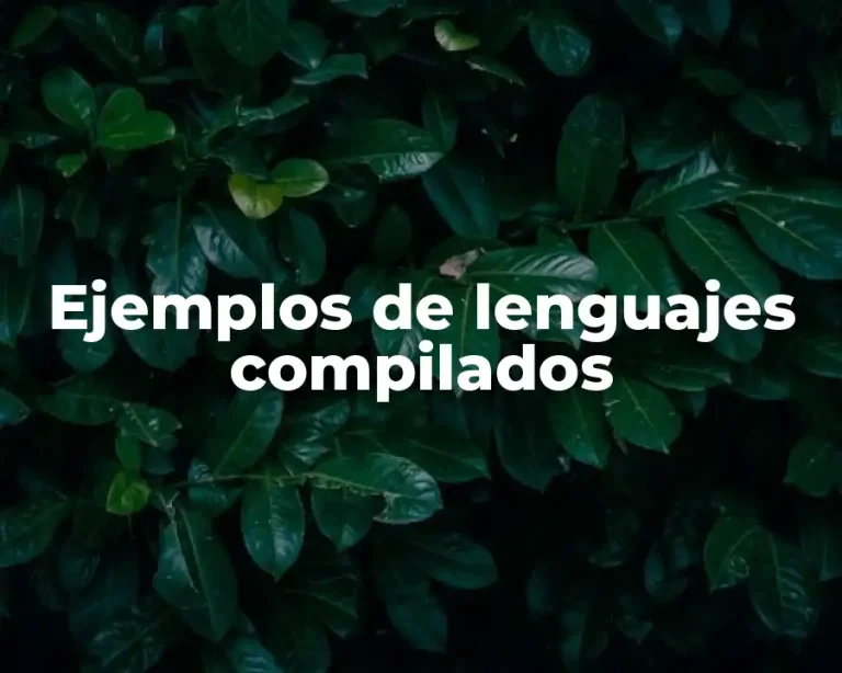 Ejemplos de lenguajes compilados