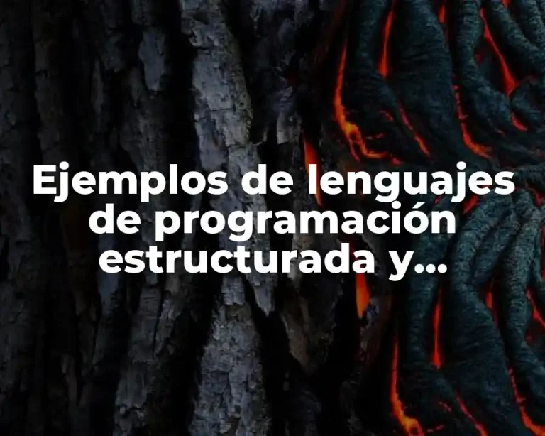 Ejemplos de lenguajes de programación estructurada y orientada a objetos