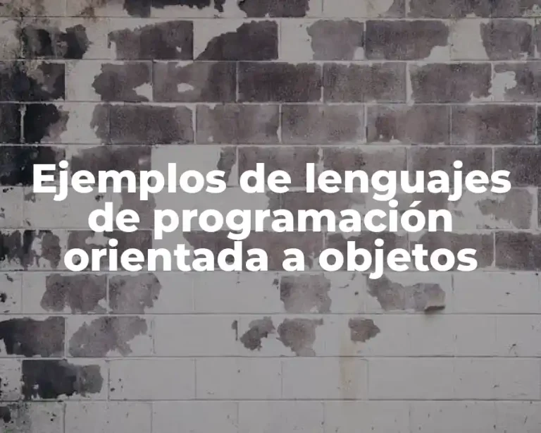 Ejemplos de lenguajes de programación orientada a objetos