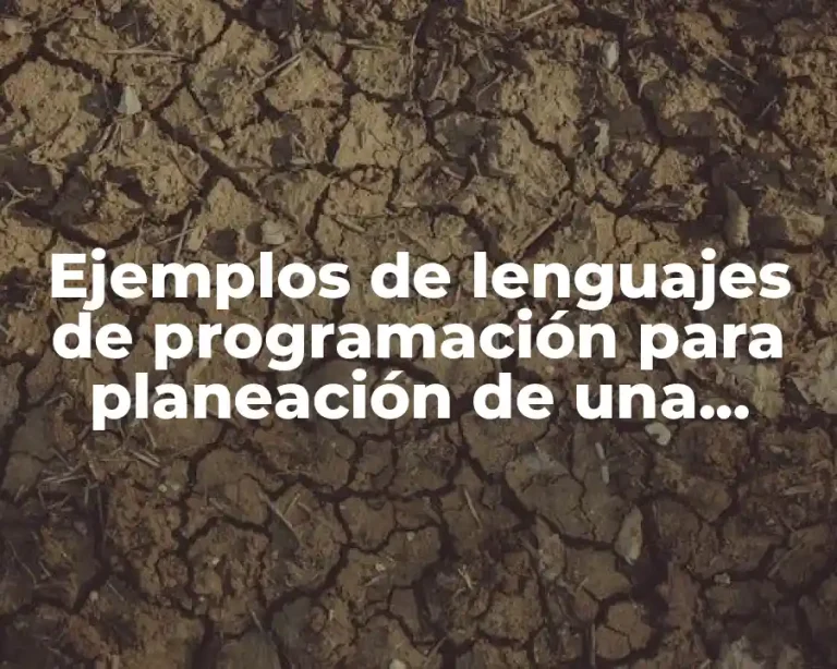 Ejemplos de lenguajes de programación para planeación de una empresa