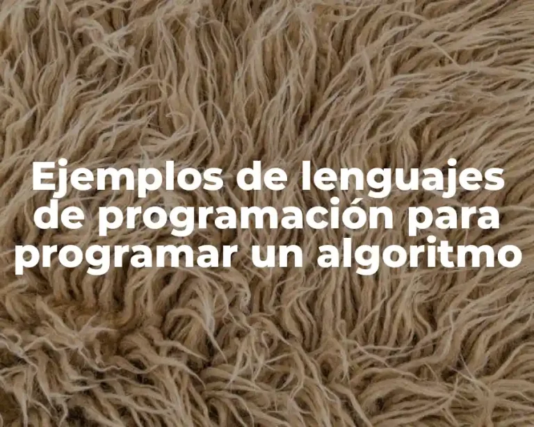 Ejemplos de lenguajes de programación para programar un algoritmo