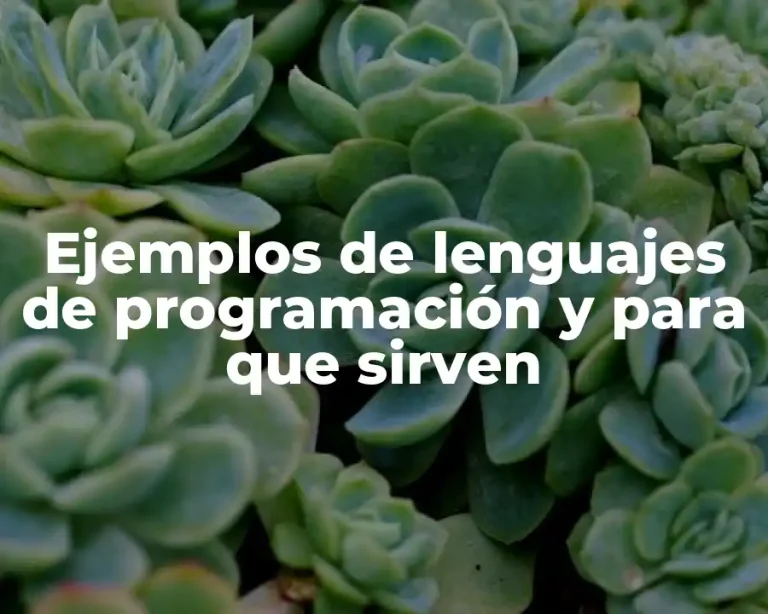 Ejemplos de lenguajes de programación y para que sirven