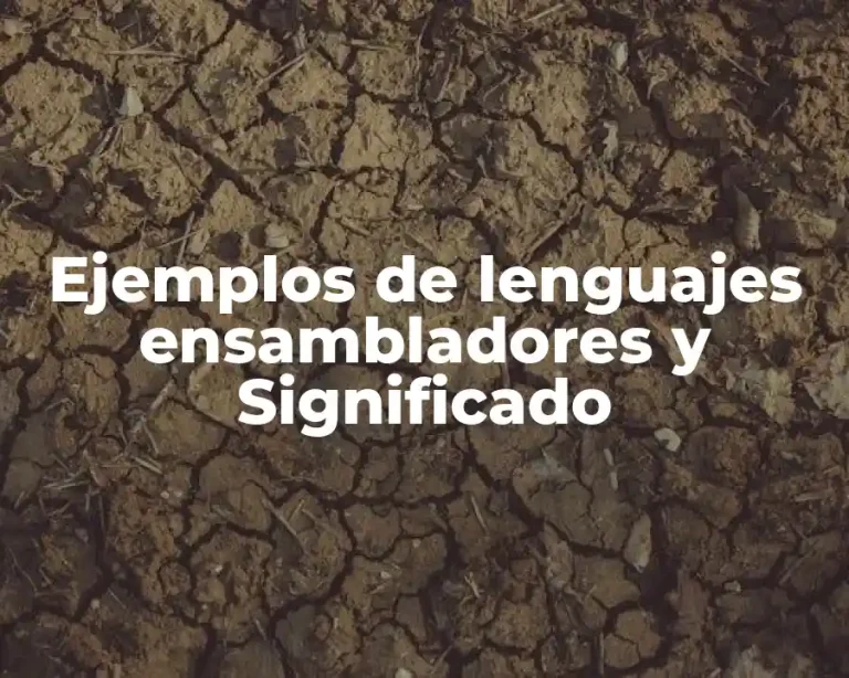 Ejemplos de lenguajes ensambladores y Significado