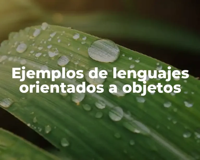 Ejemplos de lenguajes orientados a objetos