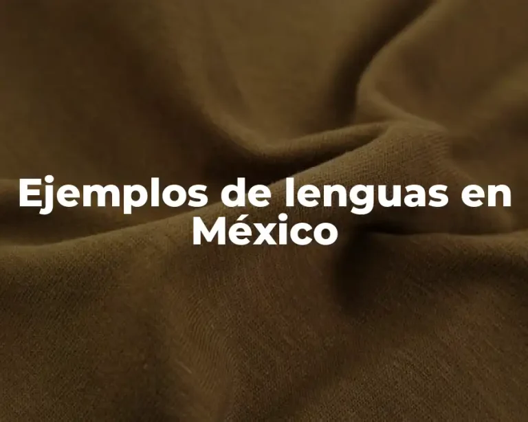 Ejemplos de lenguas en México
