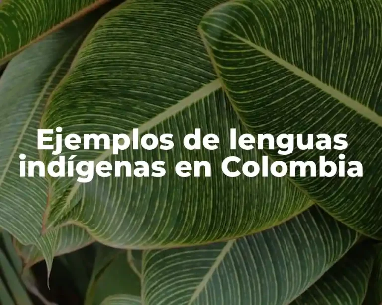 Ejemplos de lenguas indígenas en Colombia