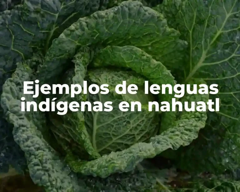 Ejemplos de lenguas indígenas en nahuatl