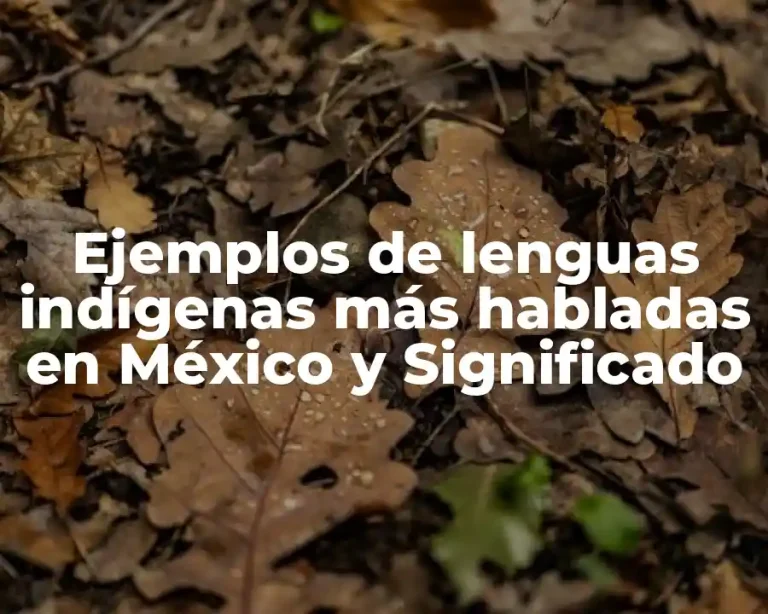 Ejemplos de lenguas indígenas más habladas en México y Significado