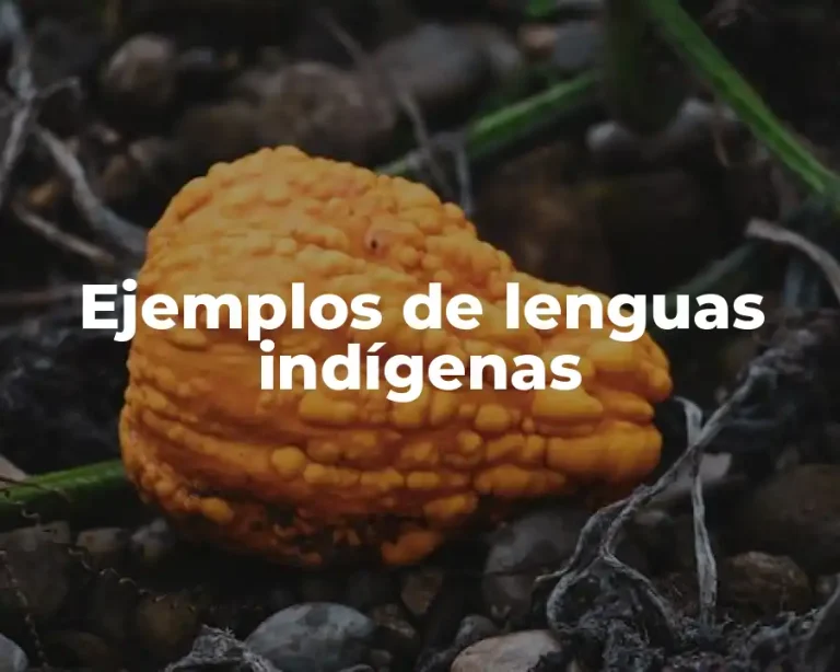 Ejemplos de lenguas indígenas