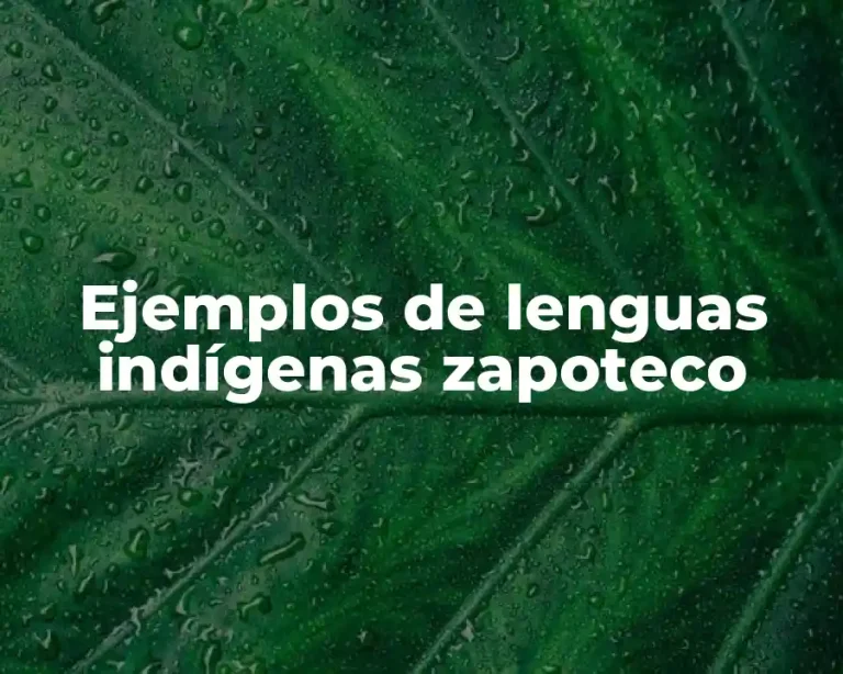Ejemplos de lenguas indígenas zapoteco