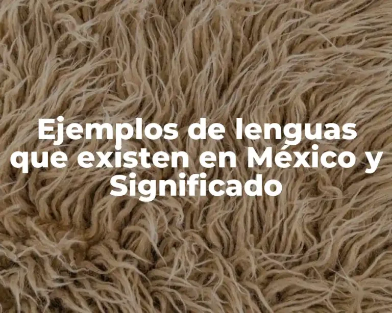 Ejemplos de lenguas que existen en México y Significado