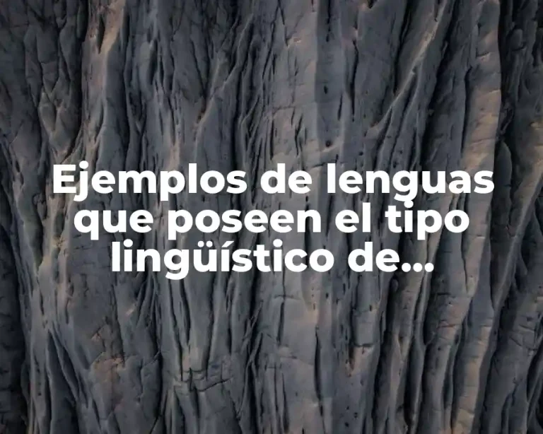 Ejemplos de lenguas que poseen el tipo lingüístico de aglutinación