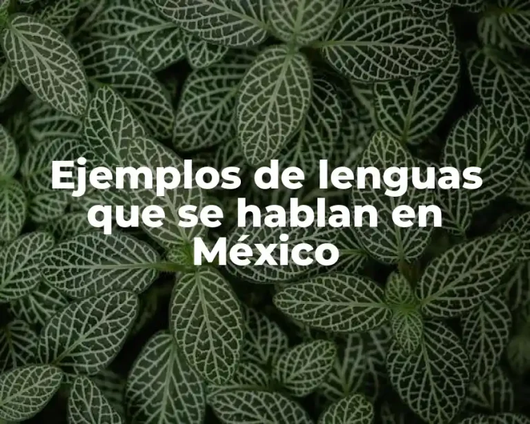 Ejemplos de lenguas que se hablan en México