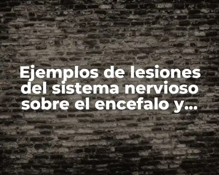 Ejemplos de lesiones del sistema nervioso sobre el encefalo y Significado