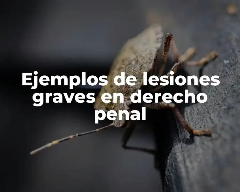 Ejemplos de lesiones graves en derecho penal