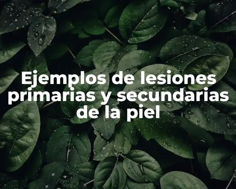 Ejemplos de lesiones primarias y secundarias de la piel