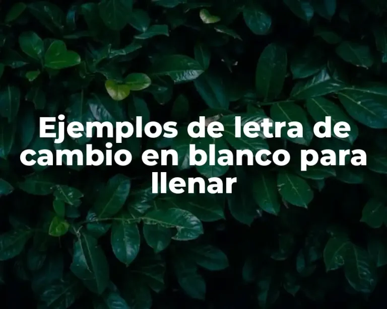 Ejemplos de letra de cambio en blanco para llenar