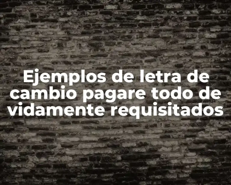 Ejemplos de letra de cambio pagare todo de vidamente requisitados