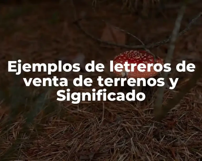 Ejemplos de letreros de venta de terrenos y Significado