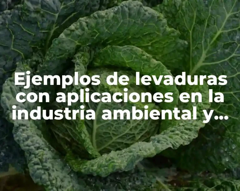 Ejemplos de levaduras con aplicaciones en la industria ambiental y Significado